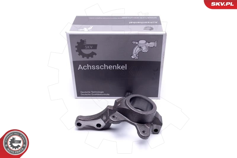 Steering Knuckle, wheel suspension